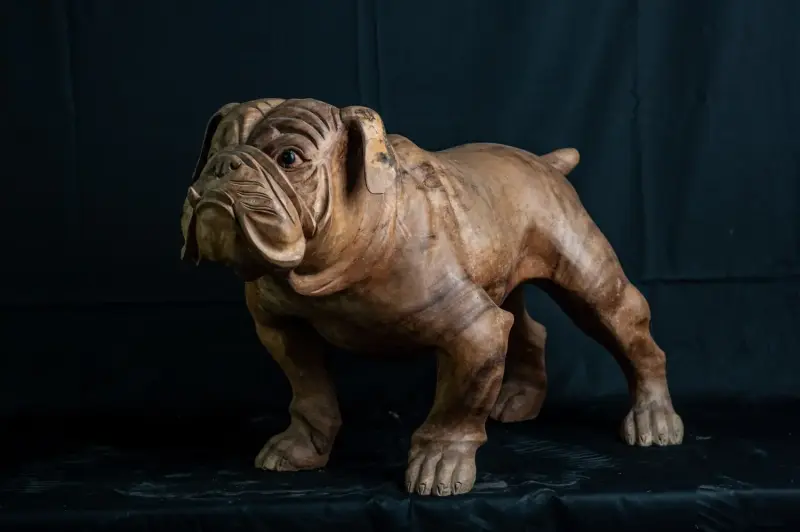 Product image 3 of the product “Standing French Bulldog made from suar wood, 75cm Height. ”